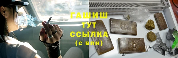 гидра Грязи