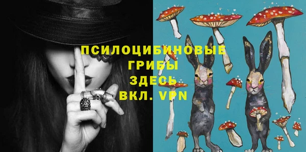 шишки Губаха