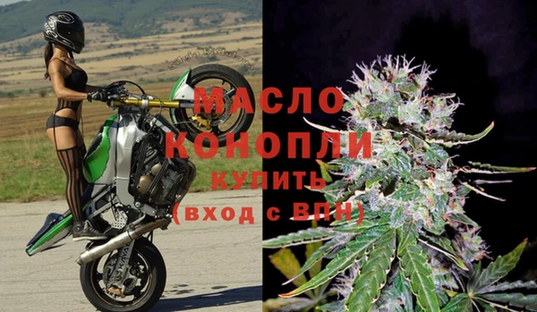 гидра Грязи