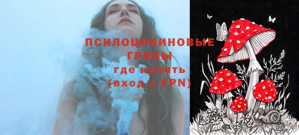 амф Протвино