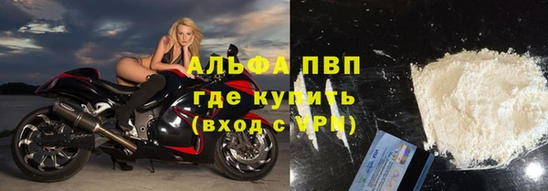 шишки Губаха