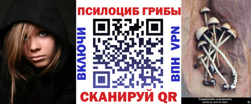 Псилоцибиновые грибы GOLDEN TEACHER  маркетплейс как зайти  Нахабино 